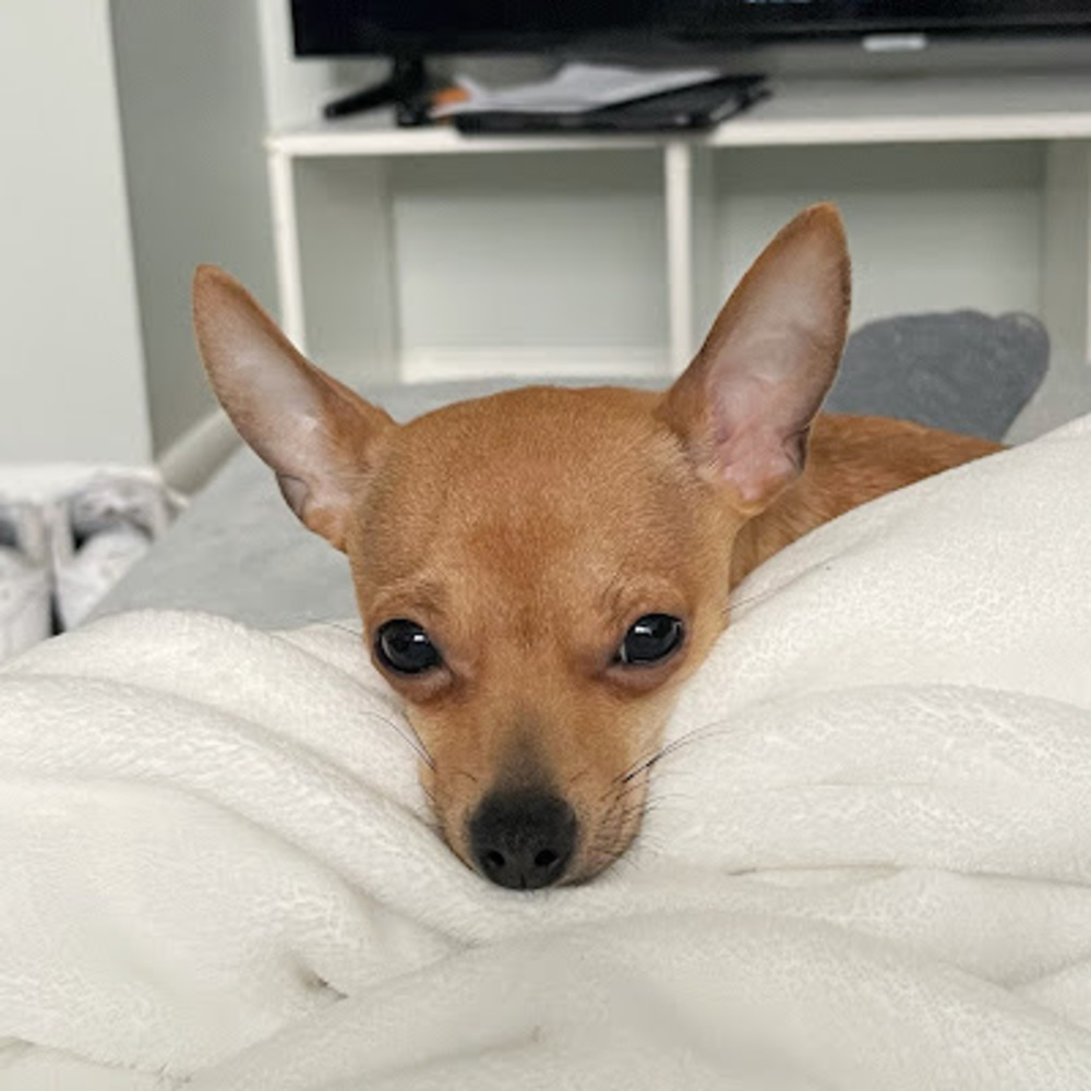 Meet your Posher, Breanna